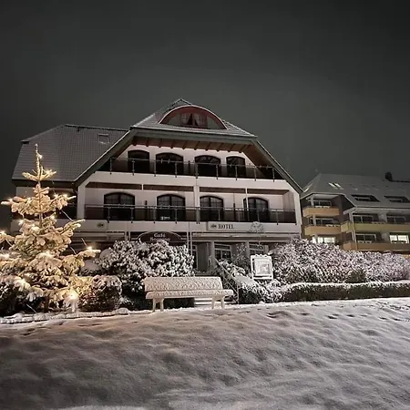 Hotel Seerose Bad