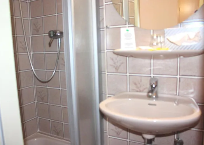 Seerose Bad מלון